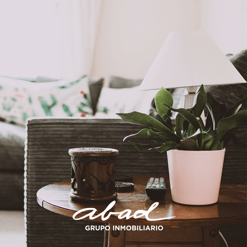 Blog plantas insta y fb | Abad grupo inmobiliario