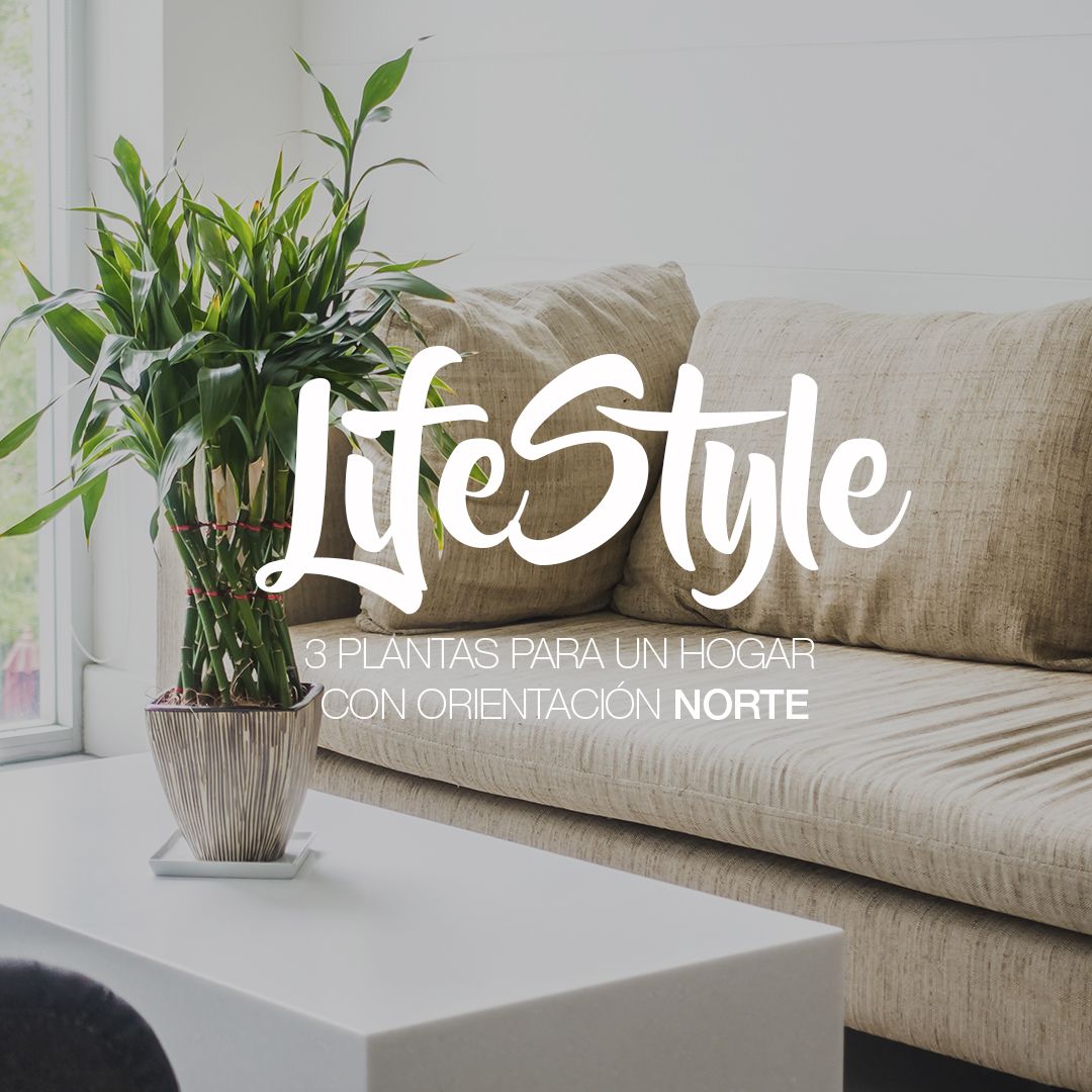 Foto Instagran Anuncio Lifestyle 2 sin amarillo | Abad grupo inmobiliario