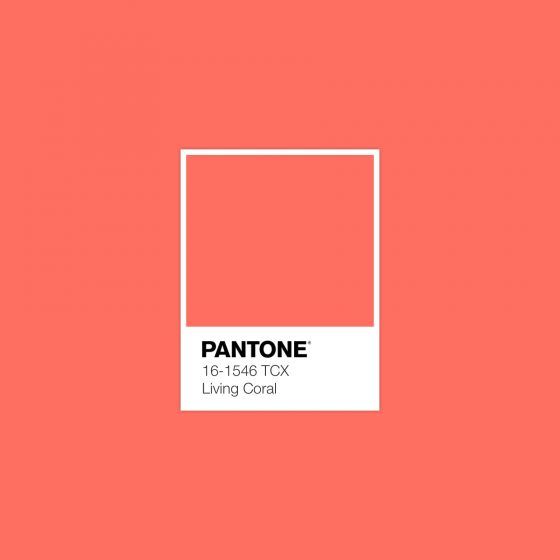 pantone | Abad grupo inmobiliario